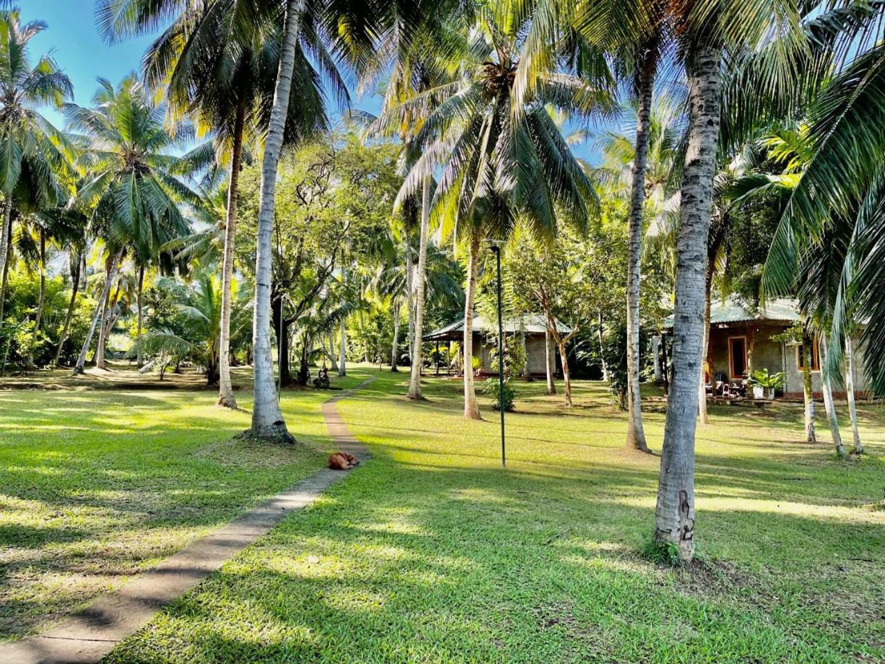 Udawalawa Safari Resort Udawalawe Kültér fotó