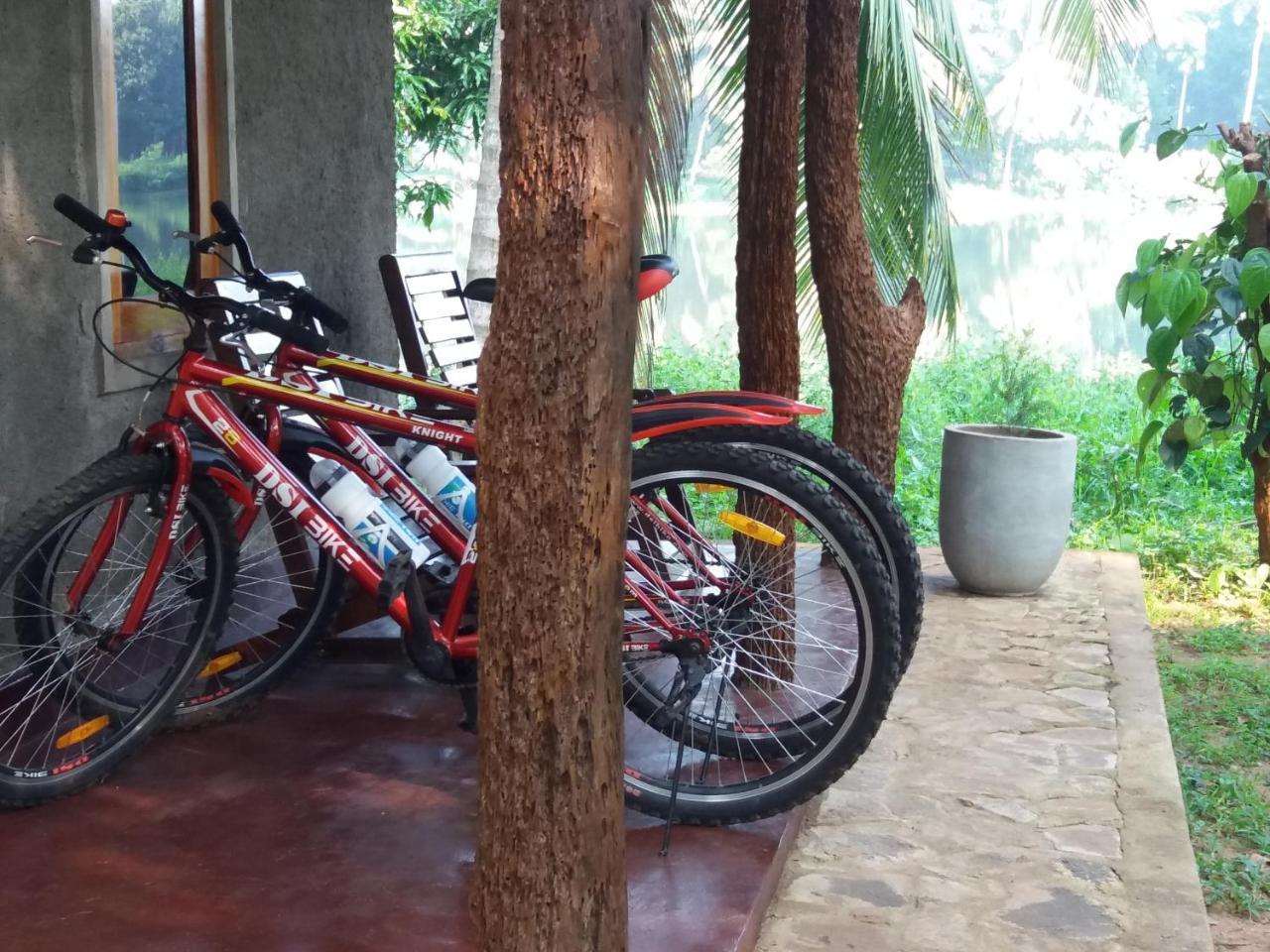 Udawalawa Safari Resort Udawalawe Kültér fotó