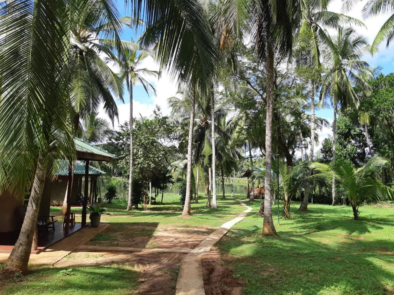 Udawalawa Safari Resort Udawalawe Kültér fotó