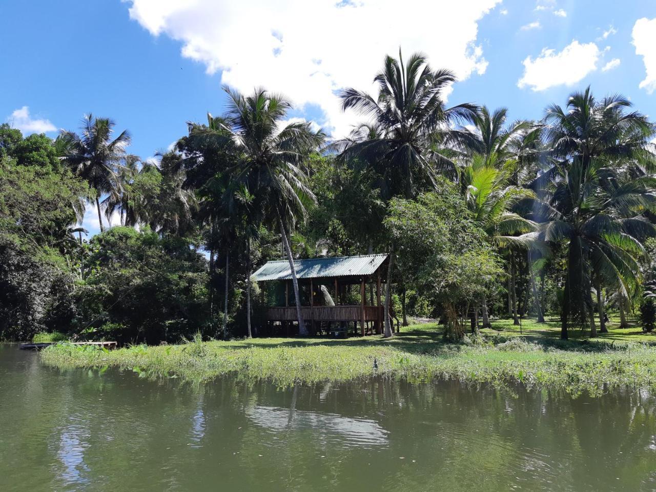 Udawalawa Safari Resort Udawalawe Kültér fotó